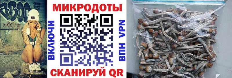 Псилоцибиновые грибы мухоморы Карабулак