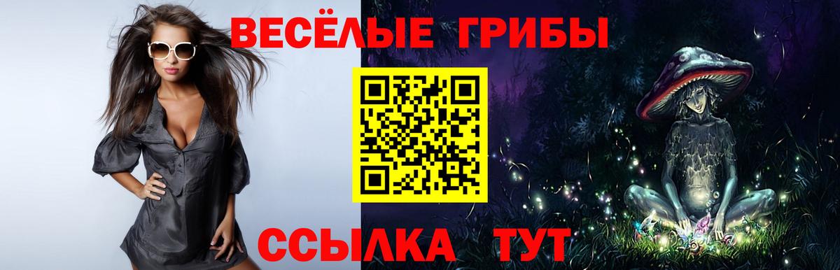 Псилоцибиновые грибы прущие грибы Карабулак